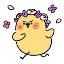 비주얼펫살롱 이미지