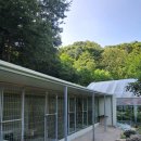 동물보육원 이미지