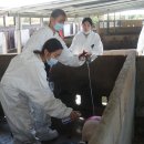 주식회사비케이팜 이미지