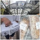 수산중앙로 | 속초관광수산시장 주차장 먹거리 맛집 후기
