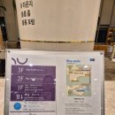 블룸호텔 | 제주 중문 가성비 '블룸호텔' 내돈내산 숙박후기