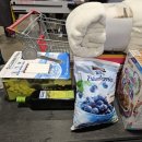 도그럭스 이미지