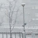 박가네손세차장 이미지