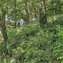 쫑포몬당마을 협동조합 이미지