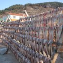 학림섬정보화마을 이미지