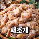 장항전통시장 | 새조개 1kg 가격 시세 동향까지, 구매 전 비교 필수!