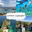 초이스팜 | [발리 3일차] 누사페니다 스노클링 &amp; 서부 섬투어 (feat. 팜투어 선택일정)