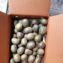 귀덕농장 이미지