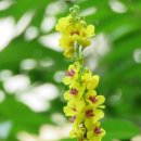 온수근린공원 이미지