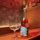 라스트춘선 안양 이미지