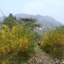 진원면사무소 이미지