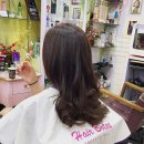 헤어두비취 이미지