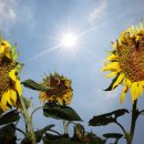 이례농장 이미지