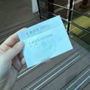 정가농장 | 🌻 해바라기밭 걷고, 동물농장 체험까지! 🐑🐷🐴 안성팜랜드 하루 여행