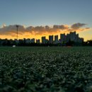 송도 글로벌파크4지구 축구장 이미지