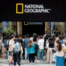 문홀딩스 이미지