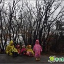 자연속으로 이미지