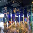 건영당구장 이미지