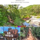 제108회 동하산악회 정기산행 진천 농다리&amp;미르309출렁다리 트래킹 6월 18일 화요일 이미지