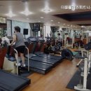 더블플러스