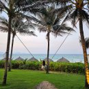 모모랜드 | 나트랑 대가족 여행 모벤픽 3박 5일 후기 3탄