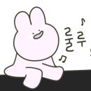 카페인풀