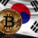 냉정중앙길 토큰포스트