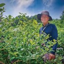 인천재능중학교 이미지