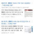 2020엠에스 이미지