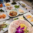 금호미디어 | 통영 횟집 마리나리조트 맛집 금호횟집 다찌 대신 선택한곳 내돈내산
