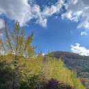 무주상지 | 무주단풍여행 머루와인동굴, 안국사