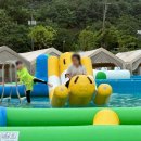 구지 아이비 태권도장 이미지