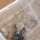 파주농장 이미지