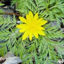 한라생태숲 유아숲체험원 이미지