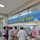 응봉초등학교 이미지