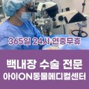 용인해성동물병원 티스토리