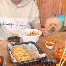 왕왕멍멍 이미지