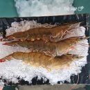 🦐제철 활새우회 새우구이 집에서 싸게드세요. 이미지