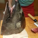 조리장진치참치 이미지