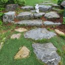 속초 애견펜션 양양 해피 플레이스 이미지