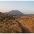 제주 우찌 이미지