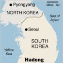In South Korea, Drinks Are on the Maple Tree - NYT 2009.3.5 이미지