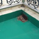 야탑중학교 이미지