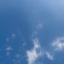 수주머리나라 | B2B 해외영업 직무 (커리어패스, 하는 일, 필요 역량, 현실)