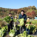 관악-현장-관악-10-11 이미지