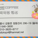 정동진백악관 이미지