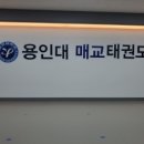 용인대 바른 태권도장 | 매교태권도 아이들 유아체육 고민중이라면 용인대매교 태권도장