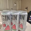 GS25 송내퍼스트점 | GS 편의점 하이볼 추천! 도수낮은술 아이긴(IGIN) 달콤토닉 수박맛 집에서 제대로 즐겨본 후기