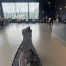 고읍 나리근린공원 | 당일여행추천 양주 나리공원 천일홍 축제(feat.오품채 양주고읍본점, 검을현카페, 팔당피맥플레이스)