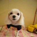 성내동물병원 이미지